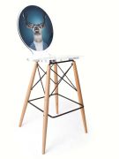 Chaise acrylique Graph pieds bois cerf - Acrila Concept