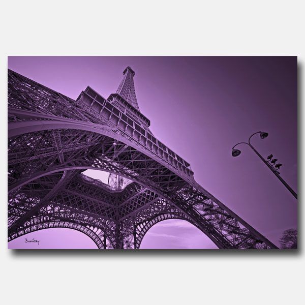 Eiffel Rose