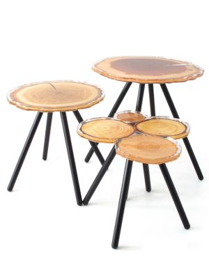 Table acrylique Quebec rondins de bois
