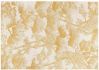 Tapis outdoor Deva en polypropylène/polyester coloris Gold 160x230