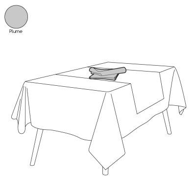 Serviette de table lin lavé stone washed Plume 50x50 - Sylvie Thiriez