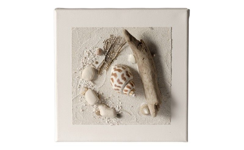 Tableau composition marine Nature 20 cm blanc - Coc'art Créations
