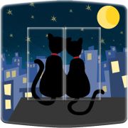 Interrupteur décoré Animaux / Lune de chat 2 double poussoir - Decorupteur