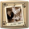 Article associé : Interrupteur décoré Animaux / Mes bébés chats