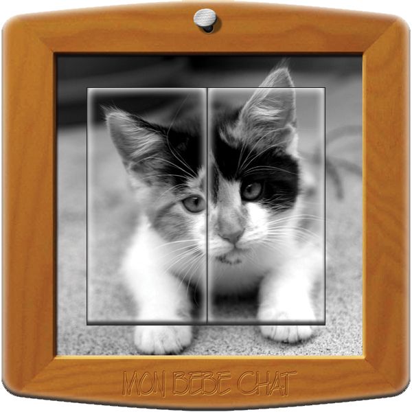Interrupteur décoré Animaux / Photo de chat double poussoir - Decorupteur