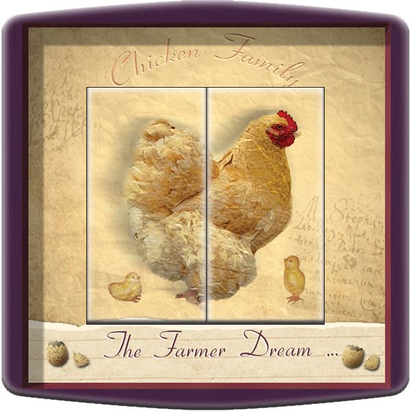 Interrupteur décoré Campagne / The farmer dream double poussoir - Decorupteur