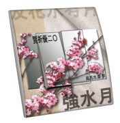 Interrupteur décoré Évasion / Images japonaises 5 double - Decorupteur
