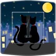 Prise décorée Animaux / Lune de chat 2 téléphone - Decorupteur