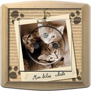 Prise décorée Animaux / Mes bébés chats 2 pôles + terre - Decorupteur
