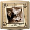 Article associé : Prise décorée Animaux / Mes bébés chats