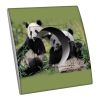 Prise décorée Animaux / Pandas 2 pôles + terre