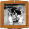 Article associé : Prise décorée Animaux / Photo de chat