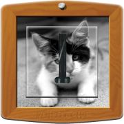 Prise décorée Animaux / Photo de chat téléphone - Decorupteur