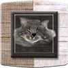Article associé : Prise décorée Animaux / Tête de chat gris