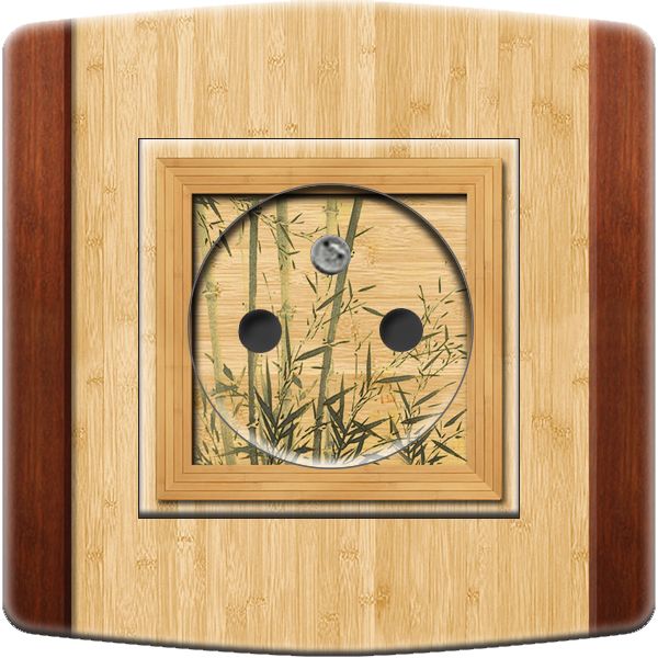 Prise décorée Bambou 2 pôles + terre - Decorupteur