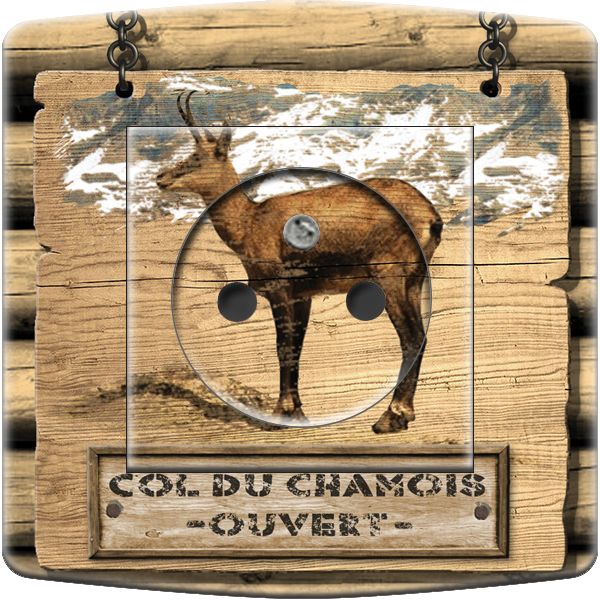 Prise décorée Chamois 2 pôles + terre - Decorupteur