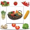 Article associé : Prise décorée Cuisine / Les légumes