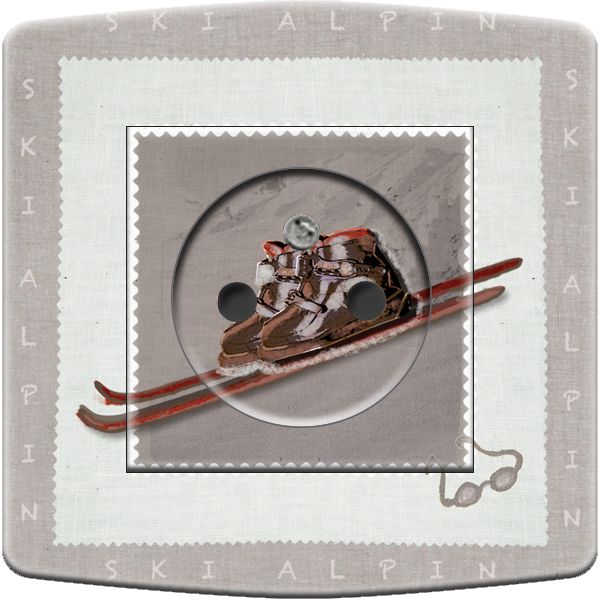 Prise décorée Montagne / Tout pour le ski 2 pôles + terre - Decorupteur