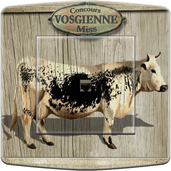 Prise décorée Montagne / Vache Vosgienne RJ45 - Decorupteur