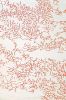 Tapis Nature tufté main en laine corail 200x300