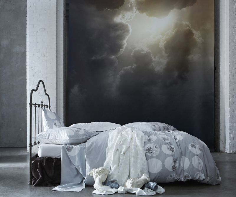Taie d'oreiller Botanic percale 50x75 - Essix Home Collection