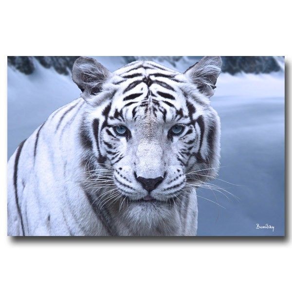 Decorations Murales Impression Numerique Sur Verre Decorations Murales Impression Numerique Sur Verre