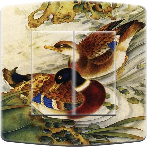 Interrupteur déco Canards double - DKO Interrupteur