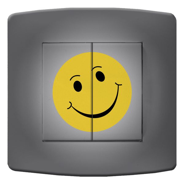 Interrupteur déco Smiley / Sourire double poussoir - DKO Interrupteur