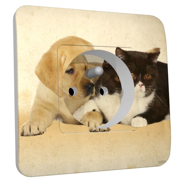 Prise déco Chat/Chien 2 pôles + terre - DKO Interrupteur