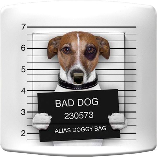 Prise déco Chiens / Bad Dog RJ45 - DKO Interrupteur