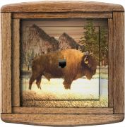 Prise déco Country / Bison paysage RJ45 - DKO Interrupteur