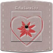 Prise déco Edelweiss & coeur RJ45 - DKO Interrupteur