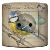 Article associé : Prise déco Oiseaux / Mésange bleue