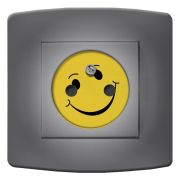 Prise déco Smiley / Sourire 2 pôles + terre - DKO Interrupteur