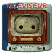 Prise déco Vintage / Téléviseur 2 pôles + terre - DKO Interrupteur