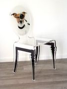 Chaise Graph en acrylique pieds plexi chien - Acrila Concept
