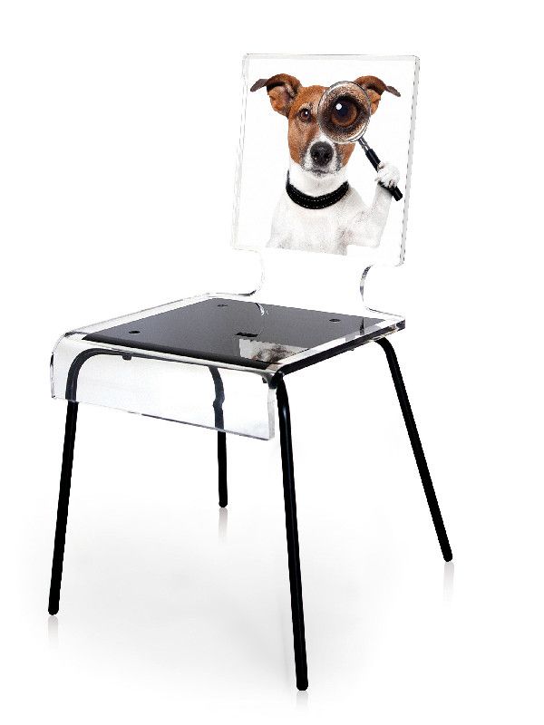 Chaise acrylique Graph carré pieds métal chien