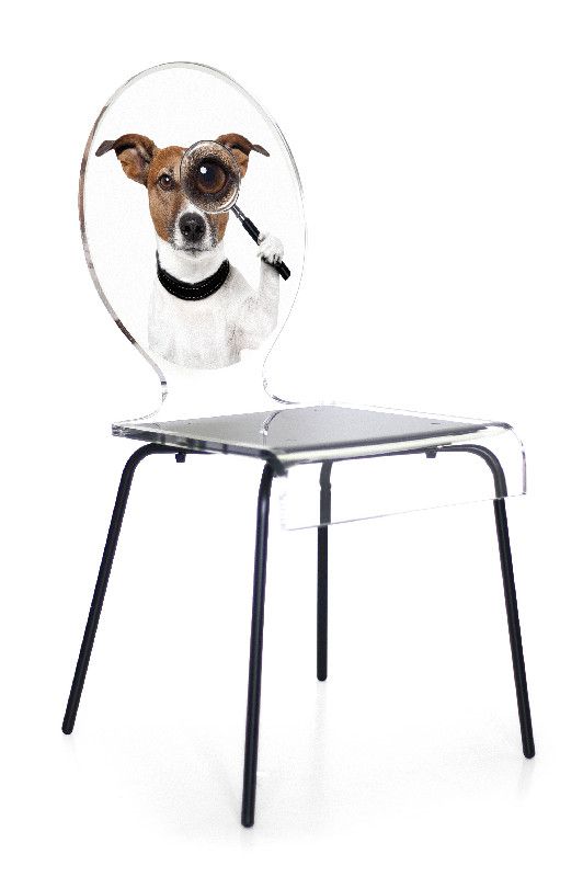Chaise acrylique Graph ovale pieds métal chien