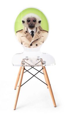 Chaise acrylique Graph pieds bois singe fond vert - Acrila