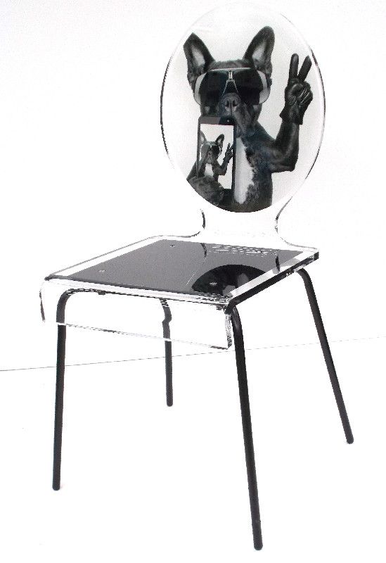 Chaise acrylique Graph pieds métal dog phone