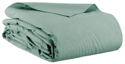 Drap plat uni Calita en coton coloris Sauge 240x300 - Vivaraise