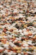 Tapis Fes en polypropylène multicolore 200x290 - Vivaraise