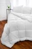 Couette Castor été en percale fibre creuse siliconée