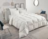 Couette Daisy 300 plumettes/duvet blanc