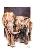 Tableau imprimé jeunes éléphants 40x60 - Créations Léonie’s France
