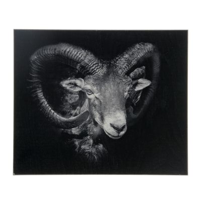 Tableau imprimé mouflon 25x30 - Créations Léonie’s France