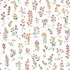 Papier peint Queyran motif herbier de fleurs multicolore