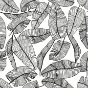 Papier peint Serengeti motif feuilles tropicales noir Rouleau 10m - LILIPINSO