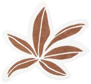 Tapis enfant Utan coton feuilles tropicales brun 120x140 - LILIPINSO