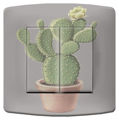 Interrupteur déco Nature / Cactus double poussoir - La Maison de Gaspard